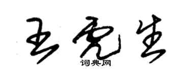 朱錫榮王虎生草書個性簽名怎么寫