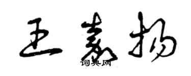 曾慶福王嘉揚草書個性簽名怎么寫