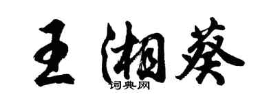 胡問遂王湘葵行書個性簽名怎么寫