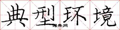 龐中華典型環境楷書怎么寫
