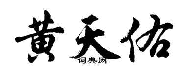 胡問遂黃天佑行書個性簽名怎么寫