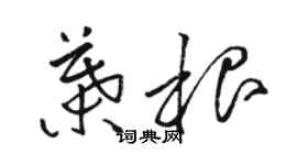 駱恆光葉根草書個性簽名怎么寫