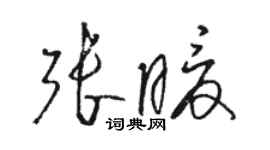 駱恆光張暖草書個性簽名怎么寫