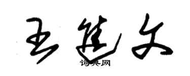 朱錫榮王進文草書個性簽名怎么寫