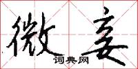 瞎子摸象的意思_瞎子摸象的解釋_國語詞典