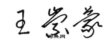 駱恆光王崇蒙草書個性簽名怎么寫