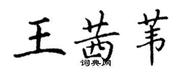 丁謙王茜葦楷書個性簽名怎么寫