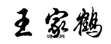 胡問遂王家鶴行書個性簽名怎么寫