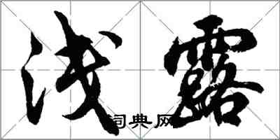 胡問遂淺露行書怎么寫