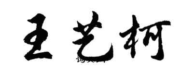 胡問遂王藝柯行書個性簽名怎么寫