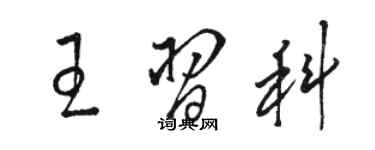 駱恆光王習科草書個性簽名怎么寫