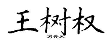 丁謙王樹權楷書個性簽名怎么寫