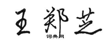 駱恆光王鄭芝行書個性簽名怎么寫