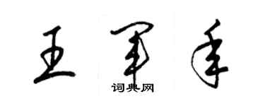 梁錦英王軍年草書個性簽名怎么寫