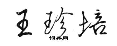 駱恆光王珍培行書個性簽名怎么寫