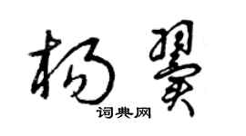 曾慶福楊翼草書個性簽名怎么寫
