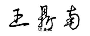 曾慶福王鼎南草書個性簽名怎么寫