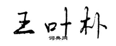 曾慶福王葉朴行書個性簽名怎么寫