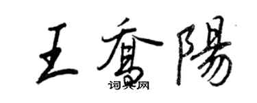 王正良王喬陽行書個性簽名怎么寫