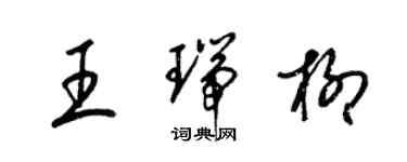 梁錦英王瑞柳草書個性簽名怎么寫