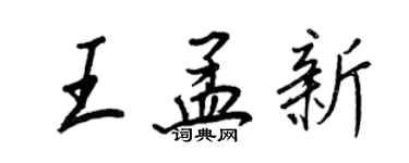 王正良王孟新行書個性簽名怎么寫