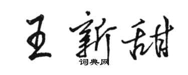 駱恆光王新甜行書個性簽名怎么寫