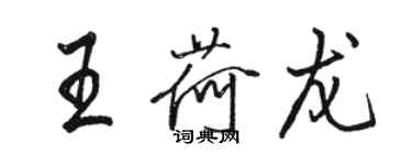 駱恆光王荷龍行書個性簽名怎么寫