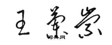 駱恆光王蘭崇草書個性簽名怎么寫