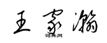 梁錦英王家瀚草書個性簽名怎么寫