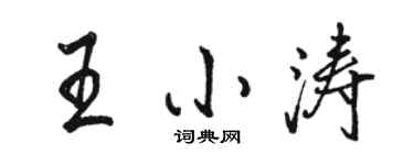 駱恆光王小濤行書個性簽名怎么寫