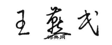 駱恆光王燕民草書個性簽名怎么寫