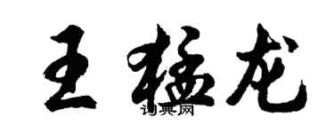 胡問遂王猛龍行書個性簽名怎么寫