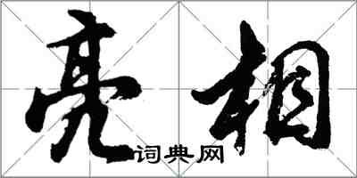 胡問遂亮相行書怎么寫