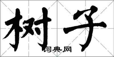 翁闓運樹子楷書怎么寫