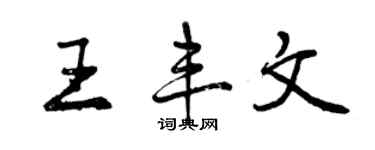 曾慶福王豐文行書個性簽名怎么寫