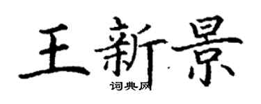 丁謙王新景楷書個性簽名怎么寫