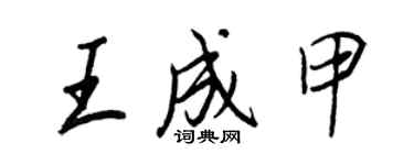王正良王成甲行書個性簽名怎么寫