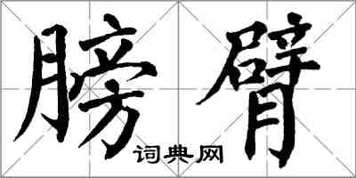 翁闓運膀臂楷書怎么寫