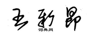 朱錫榮王新昂草書個性簽名怎么寫