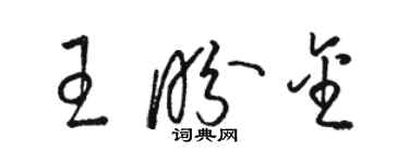 駱恆光王盼金草書個性簽名怎么寫