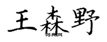 丁謙王森野楷書個性簽名怎么寫