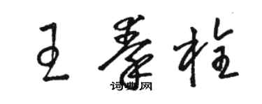 駱恆光王秦栓草書個性簽名怎么寫