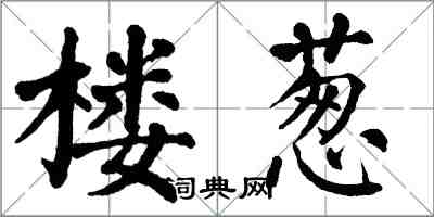 翁闓運樓蔥楷書怎么寫