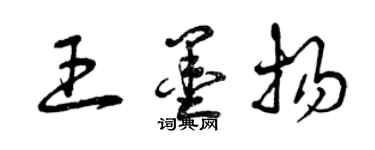 曾慶福王墨揚草書個性簽名怎么寫