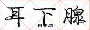 龐中華耳下腺行書怎么寫