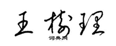 梁錦英王樹理草書個性簽名怎么寫