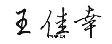 駱恆光王佳幸行書個性簽名怎么寫