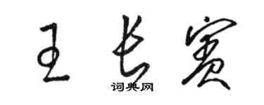 駱恆光王長賓草書個性簽名怎么寫