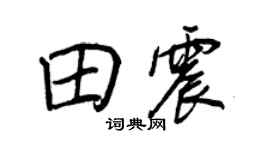王正良田震行書個性簽名怎么寫
