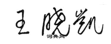 駱恆光王曉凱草書個性簽名怎么寫